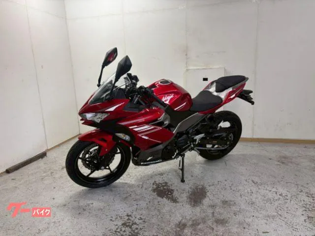 Kawasaki Ninja 250 2022 — миниатюра 4