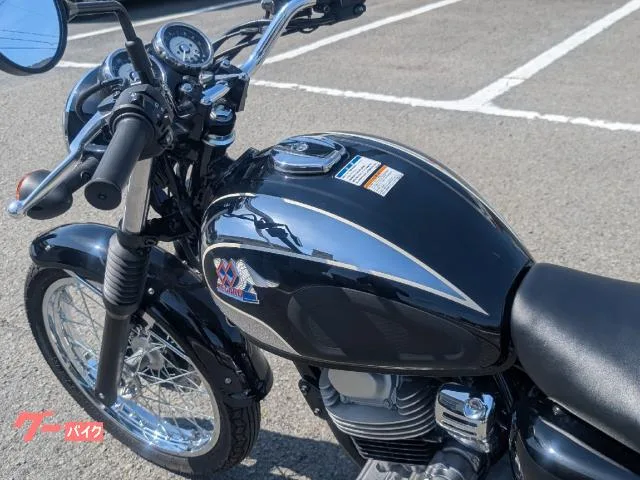 Kawasaki S1 2025 — миниатюра 3