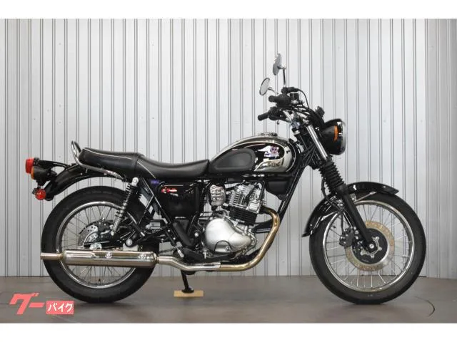 Kawasaki S1 / 2025 — миниатюра 2