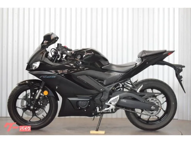 Yamaha YZF-R25 2023 — миниатюра 5