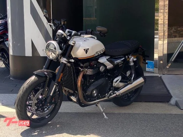 TRIUMPH 1200 2025 — миниатюра 3