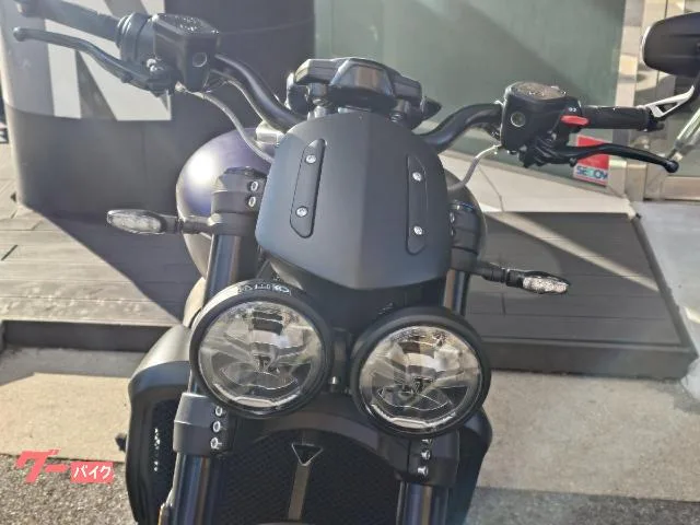 TRIUMPH 3R 2026 — миниатюра 5