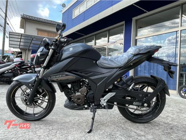 Suzuki GIXXER 250 2024 — миниатюра 3