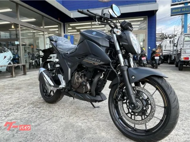 Suzuki GIXXER 250 2024 — фото 1, купить с доставкой в Москву