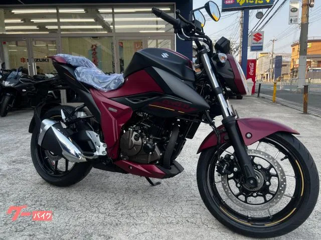 Suzuki GIXXER 250 2025 — фото 1, купить с доставкой в Москву