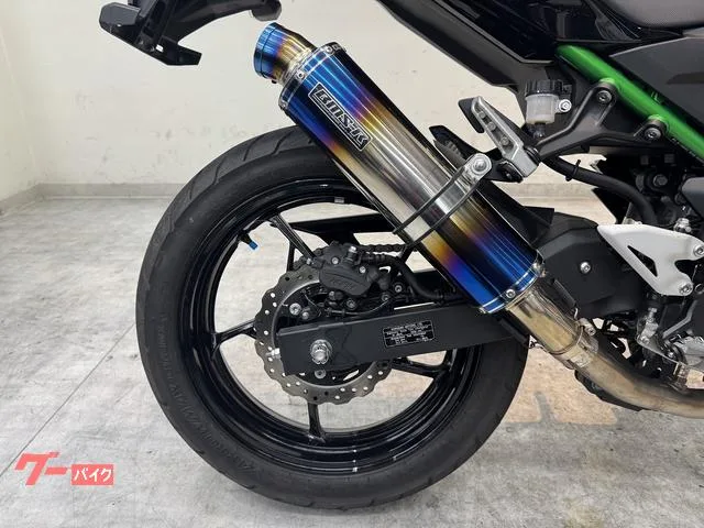Kawasaki Z250 2024 — миниатюра 3