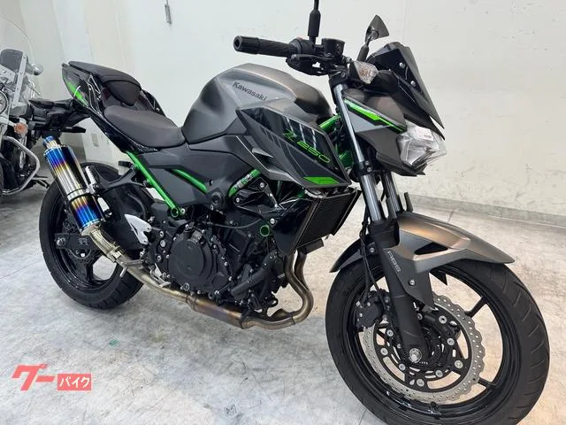 Kawasaki Z250 2024 — миниатюра 4
