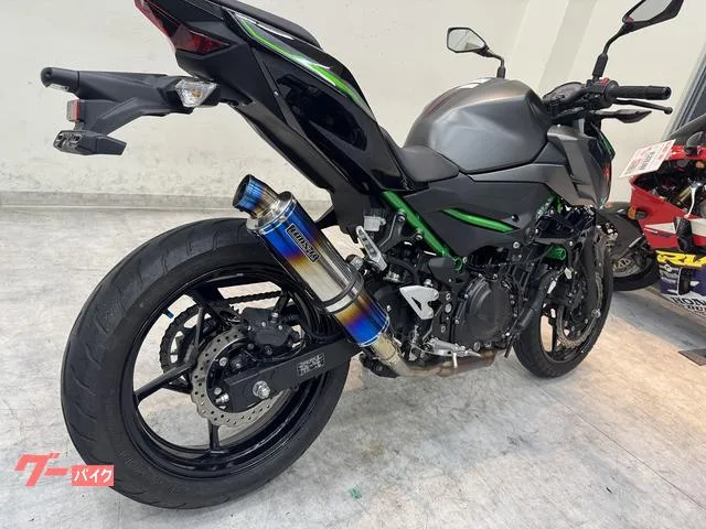 Kawasaki Z250 2024 — миниатюра 5