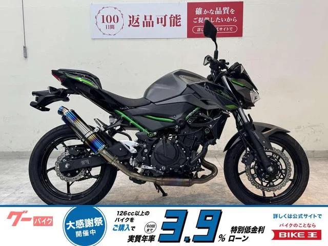 Kawasaki Z250 2024 — фото 1, купить с доставкой в Москву