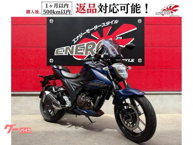 Suzuki GIXXER 250 ABS LED 2024 — фото 1, купить с доставкой в Москву