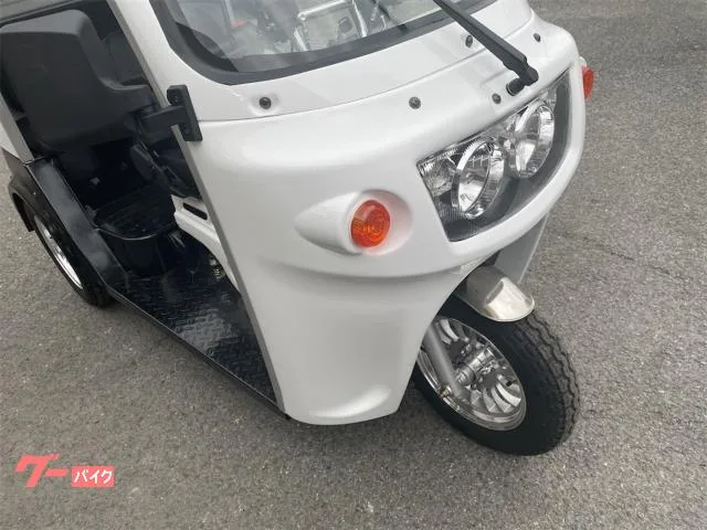 Trike (51125cc)AP125 2024 — миниатюра 2