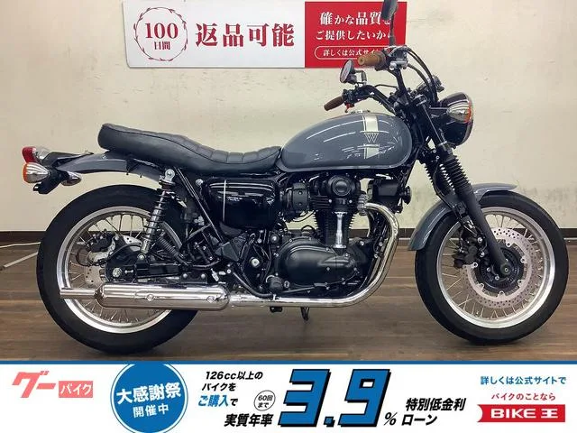 Kawasaki W800 USB2 2023 — фото 1, купить с доставкой в Москву
