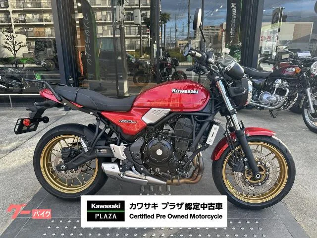 Kawasaki Z650RS 2024 — фото 1, купить с доставкой в Москву