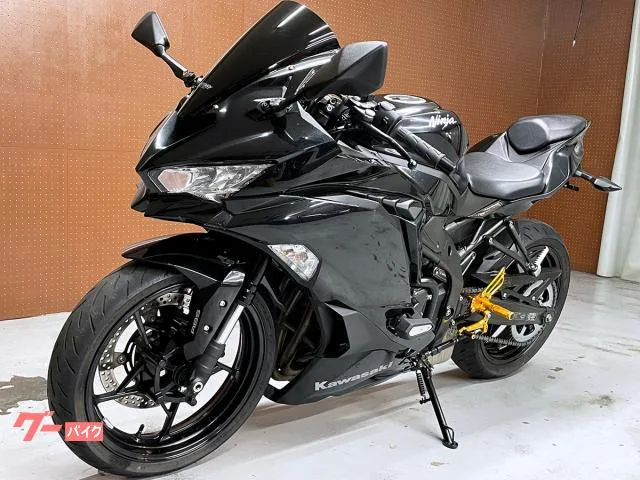 Kawasaki Ninja ZX-25R // No.5696 2022 — миниатюра 2