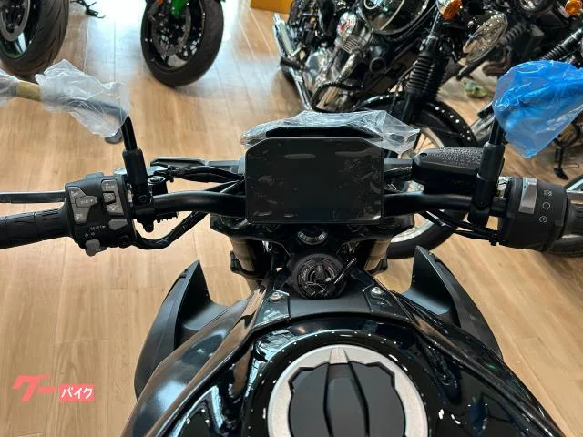 Kawasaki Z900 ABSETC2.0 2025 — миниатюра 2