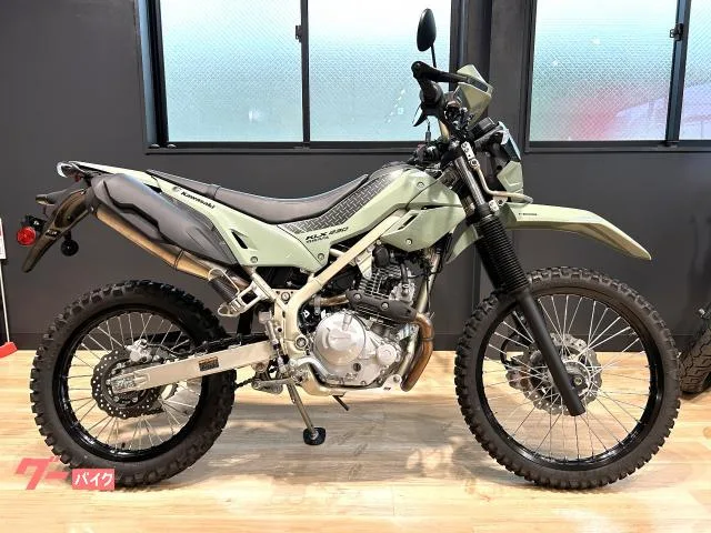 Kawasaki KLX230 ABS 2025 — фото 1, купить с доставкой в Москву