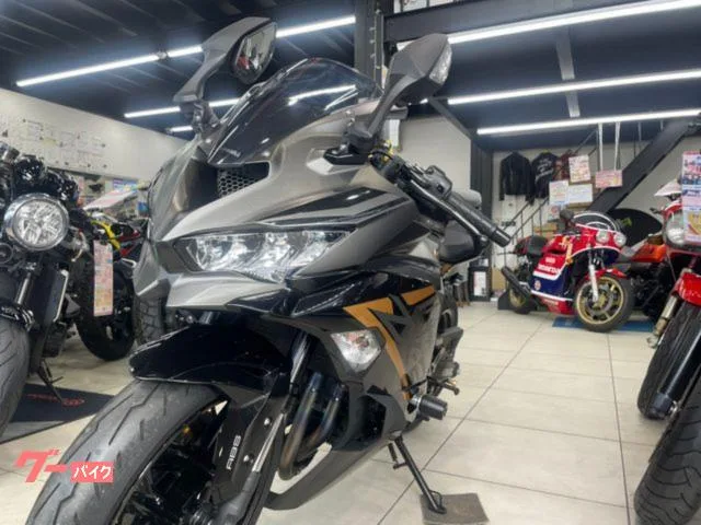 Kawasaki Ninja ZX-25R KAWASAKI ZX25RSE 2022 — миниатюра 3