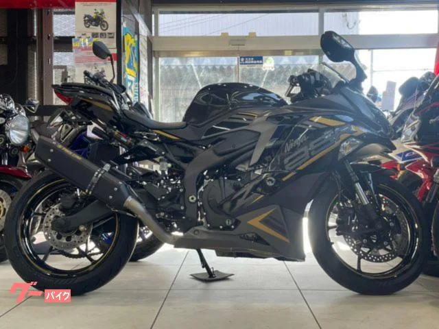 Kawasaki Ninja ZX-25R KAWASAKI ZX25RSE 2022 — фото 1, купить с доставкой в Москву