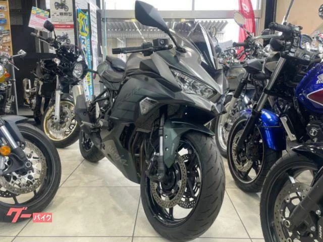 Kawasaki Ninja ZX-4R SE 2025 — миниатюра 2