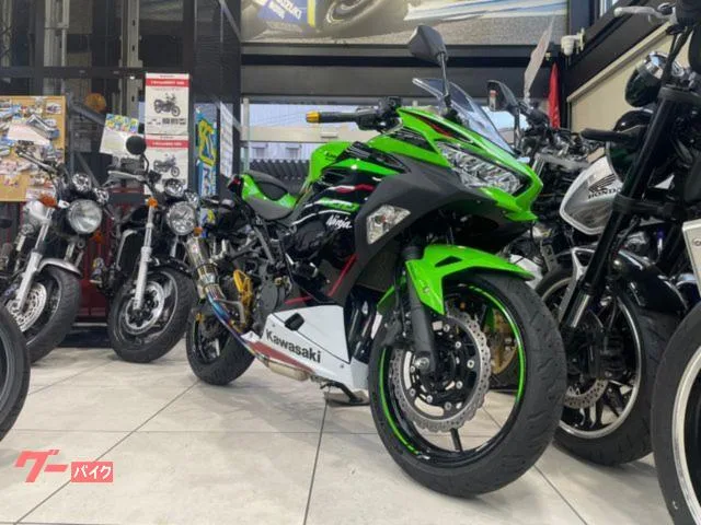 Kawasaki Ninja 400 KAWASAKI NINJA400 ETC 2022 — миниатюра 2