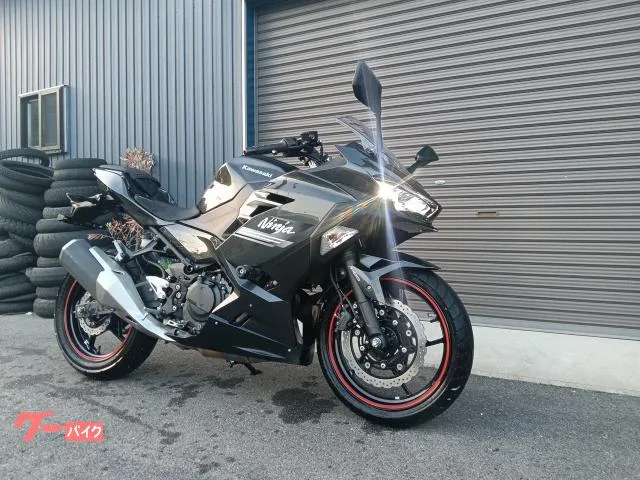 Kawasaki Ninja 250 2022 — миниатюра 2