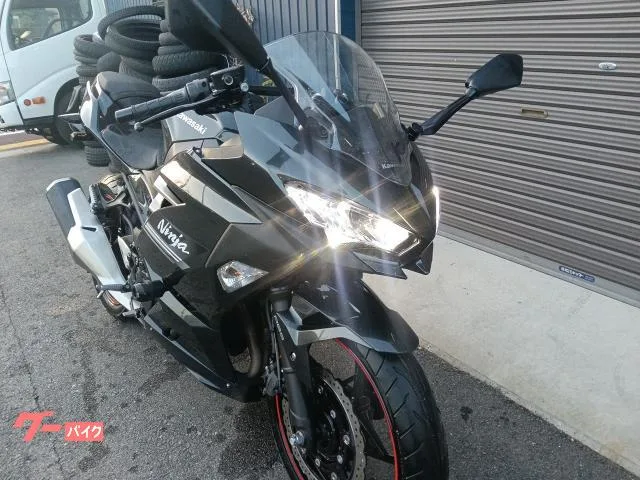 Kawasaki Ninja 250 2022 — миниатюра 3
