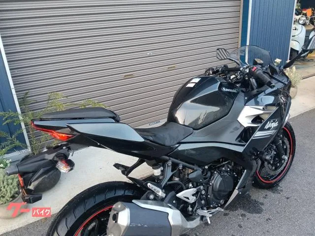 Kawasaki Ninja 250 2022 — миниатюра 4