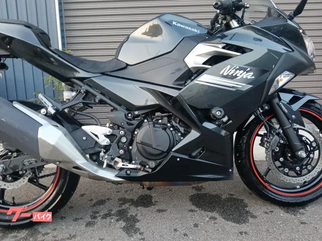 Kawasaki Ninja 250 2022 — миниатюра 5