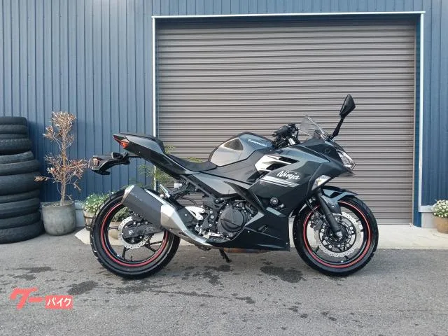 Kawasaki Ninja 250 2022 — фото 1, купить с доставкой в Москву