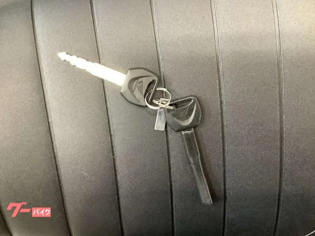 Honda CL250 USB 2024 — миниатюра 3