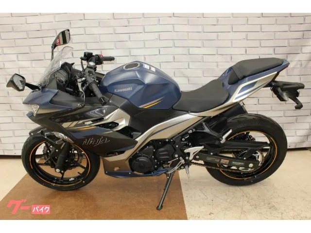 Kawasaki Ninja 250 2023 — миниатюра 5