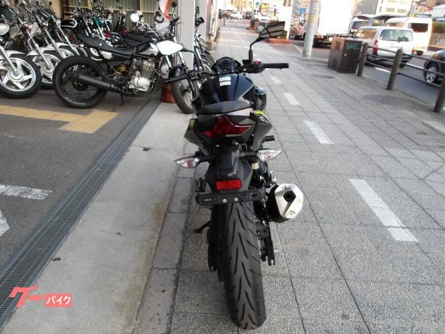 Kawasaki Z250 ABS 2 2022 — миниатюра 4