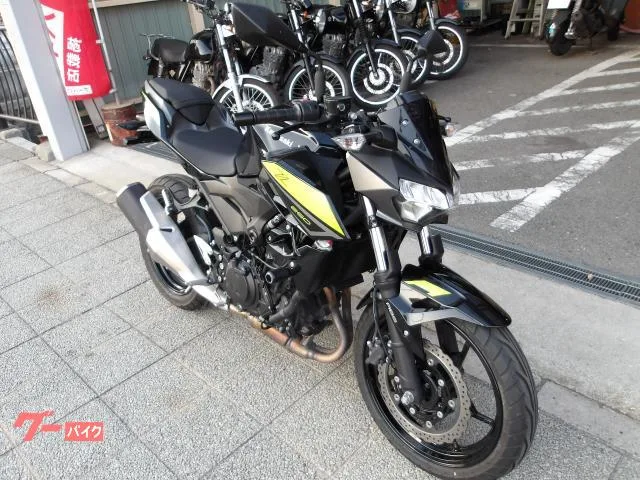 Kawasaki Z250 ABS 2 2022 — миниатюра 5
