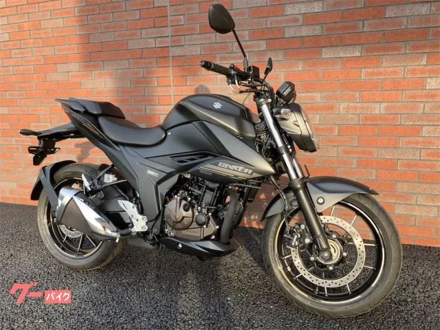 Suzuki GIXXER 250 2023 — миниатюра 2