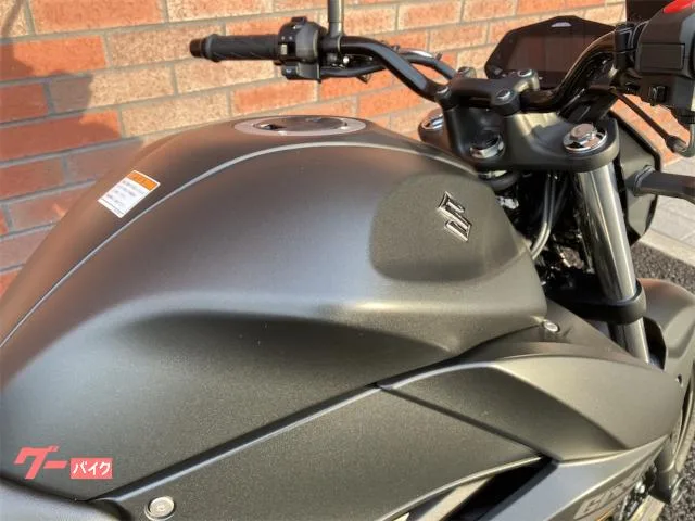 Suzuki GIXXER 250 2023 — миниатюра 3