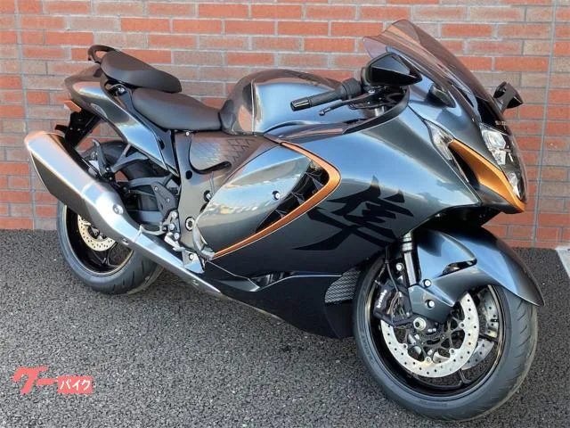 Suzuki (GSX1300R Hayabusa) / 2026 — миниатюра 2