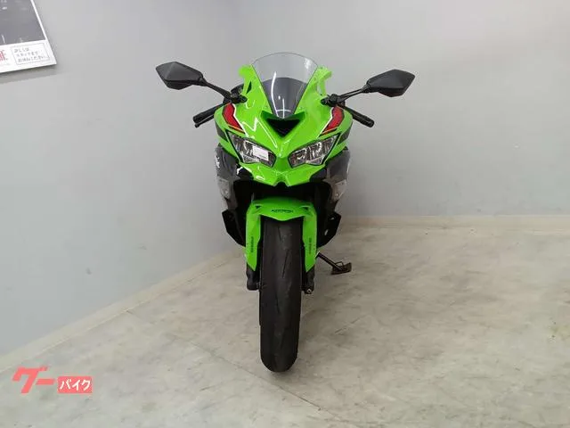 Kawasaki ZX-4RR 2024 — миниатюра 3
