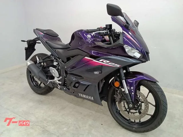 Yamaha YZF-R25 2023 — миниатюра 4