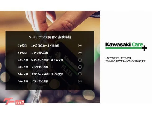 Kawasaki Ninja 1100 SX SE 2025 ETC2.0 2025 — миниатюра 3