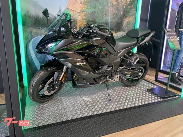 Kawasaki Ninja 1100 SX 2025 ETC2.0 2025 — миниатюра 2