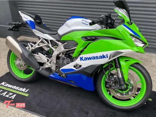 Kawasaki Ninja ZX-4RR 40th Anniversary Edition 40 2024 — миниатюра 2