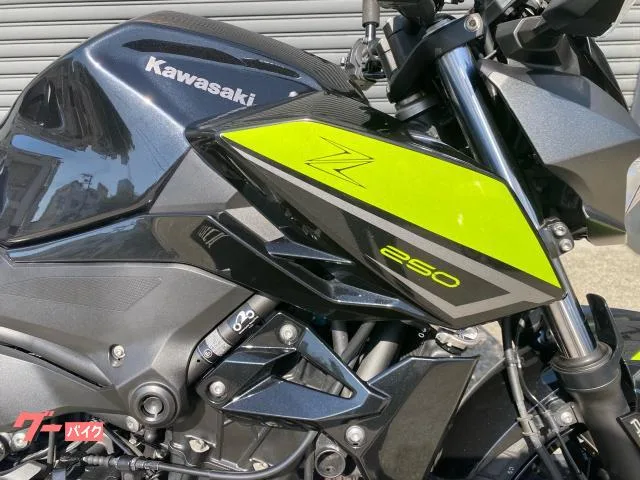 Kawasaki Z250 ETC2.0 2022 — миниатюра 4