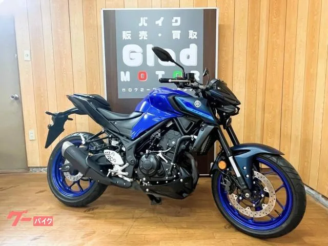 Yamaha MT-25 1 LED RG74J 2 2022 — фото 1, купить с доставкой в Москву