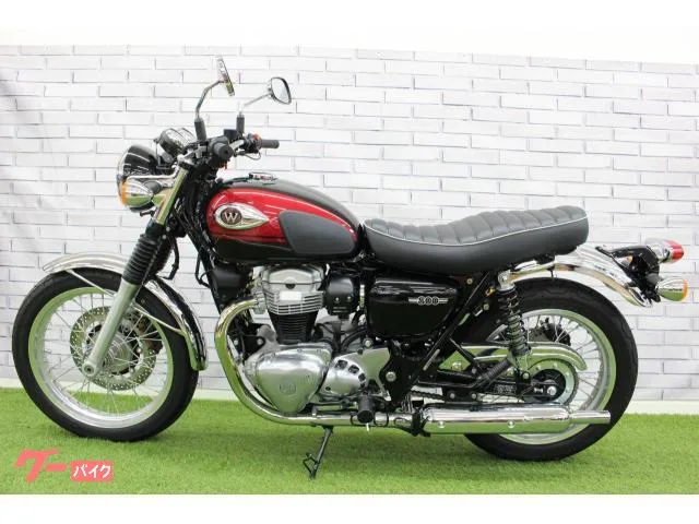 Kawasaki W800 2024 — миниатюра 3