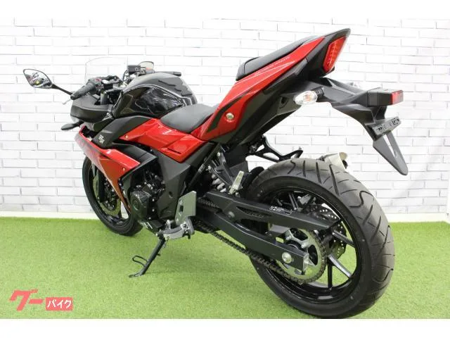 Suzuki GSX250R 2023 — миниатюра 3