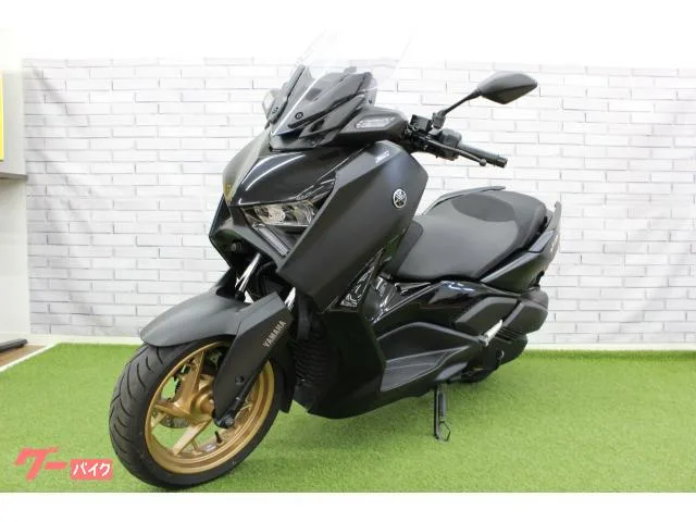 Yamaha X-MAX250 2023 — миниатюра 4