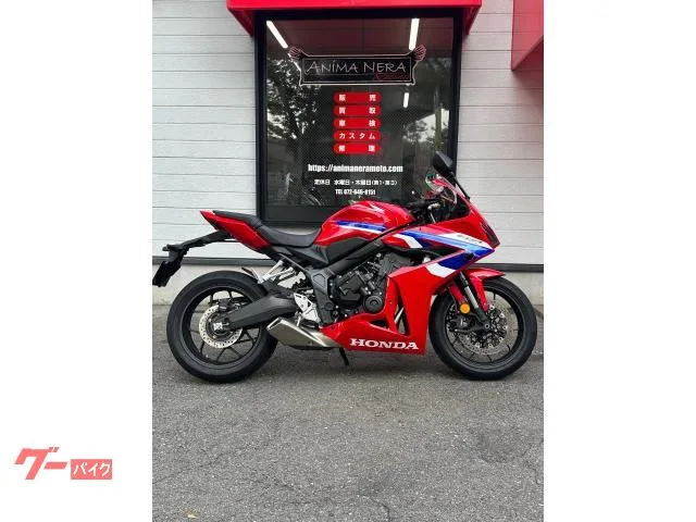 Honda CBR650R E-Clutch 2024 — фото 1, купить с доставкой в Москву