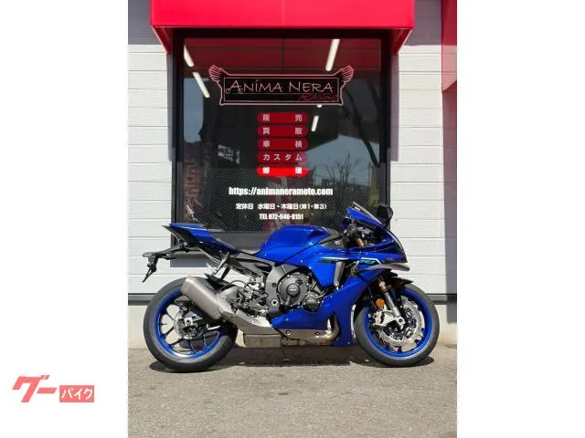 Yamaha YZF-R1 RN65J ABS 2025 — фото 1, купить с доставкой в Москву