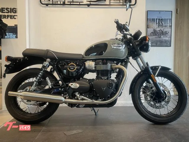 TRIUMPH T100 MY2026 2026 — миниатюра 5