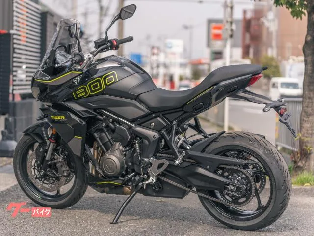 TRIUMPH 800 2026 — миниатюра 3